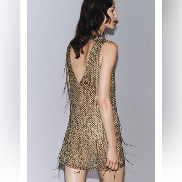 Zara Embroidered Beaded Mini Dress - Picture 3 of 11